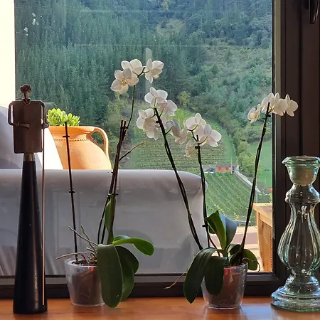 Alpesi faház La Riega Del Peral *