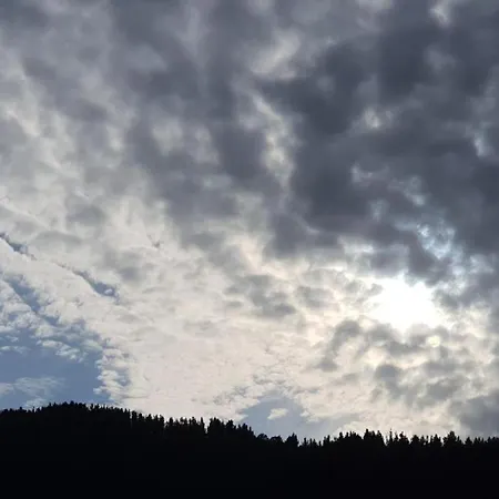 La Riega Del Peral *