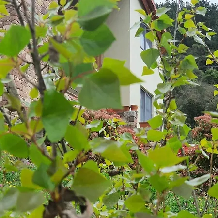 La Riega Del Peral * Ojedo