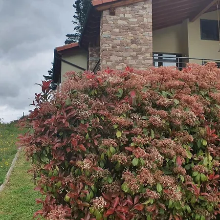 Dağ evi La Riega Del Peral Ojedo