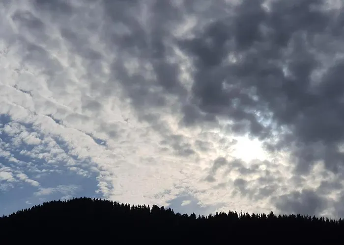 La Riega Del Peral *