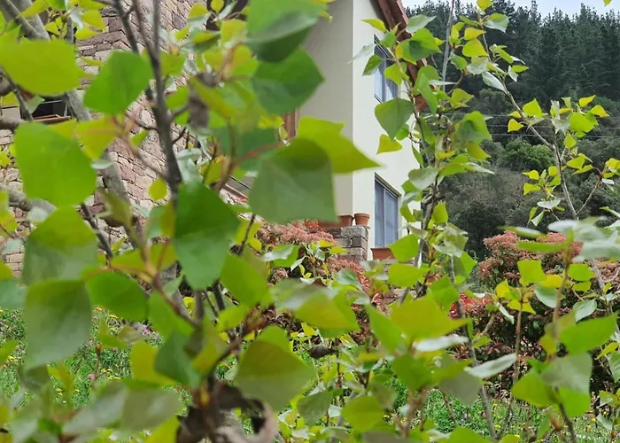 La Riega Del Peral * Ojedo